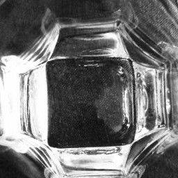 blackandwhite summer glass